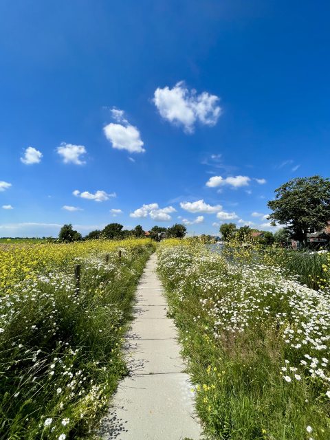 Fietsen rondom Woudsend